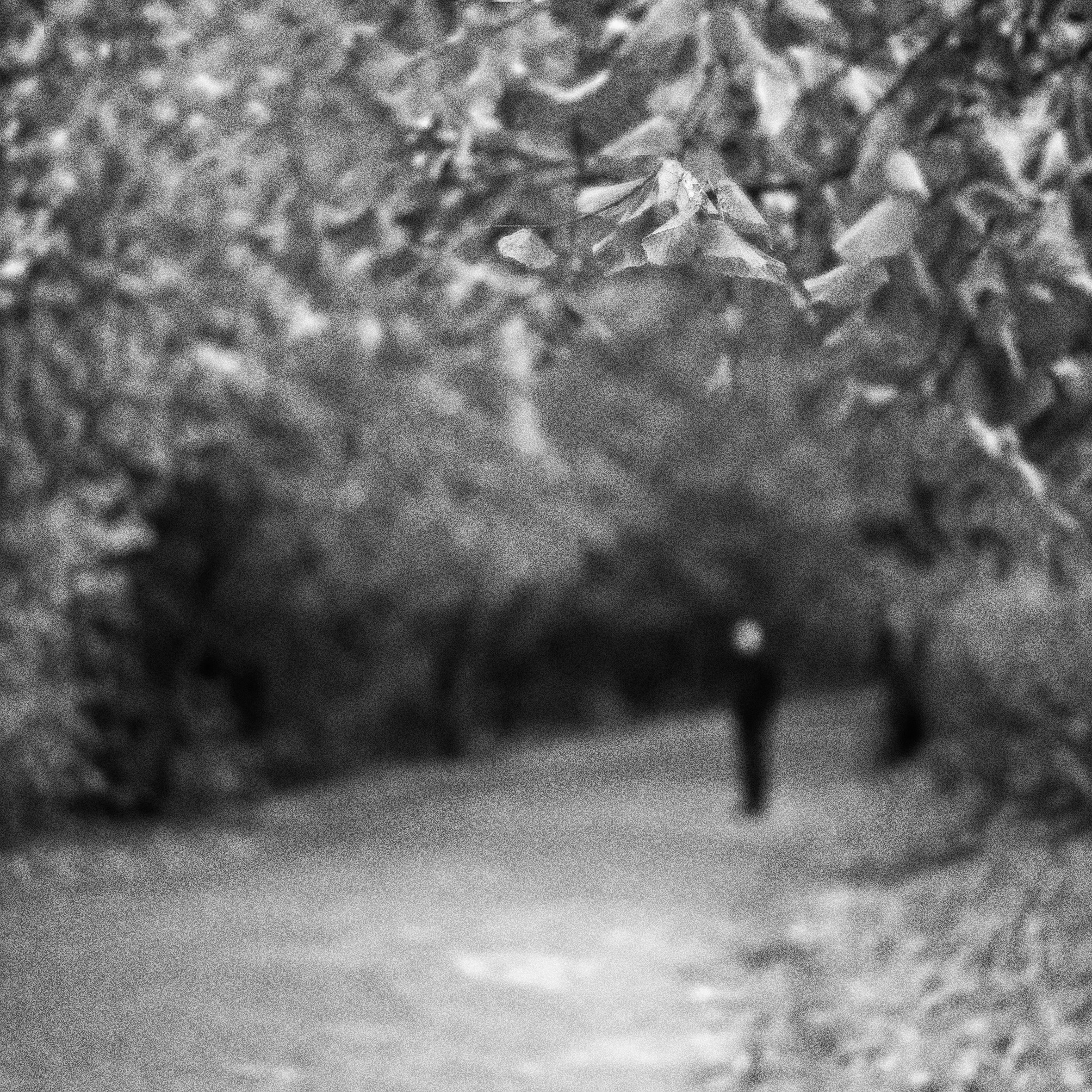 Project Stille ruimtes