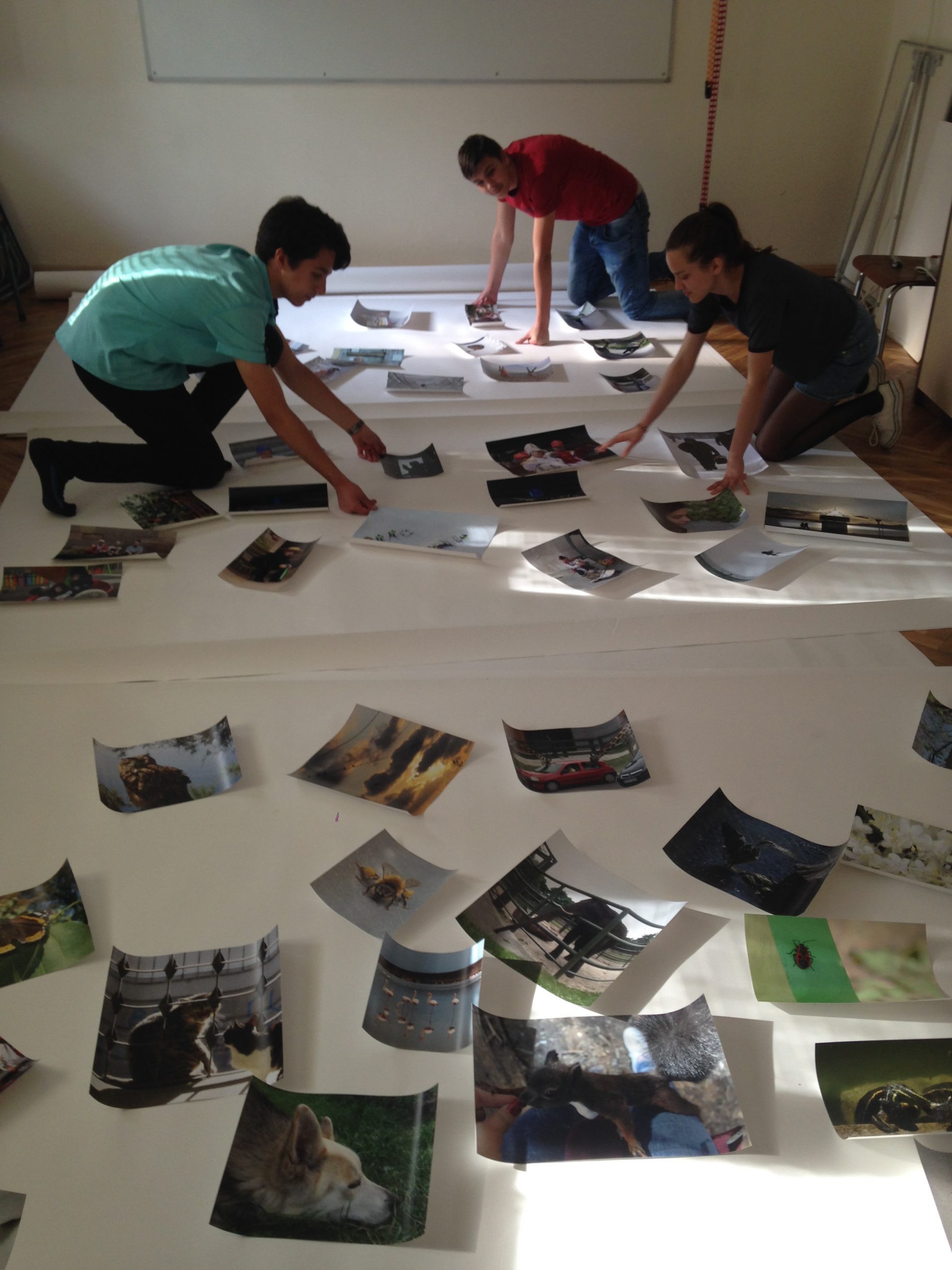 Kindertentoonstellingen en activiteiten