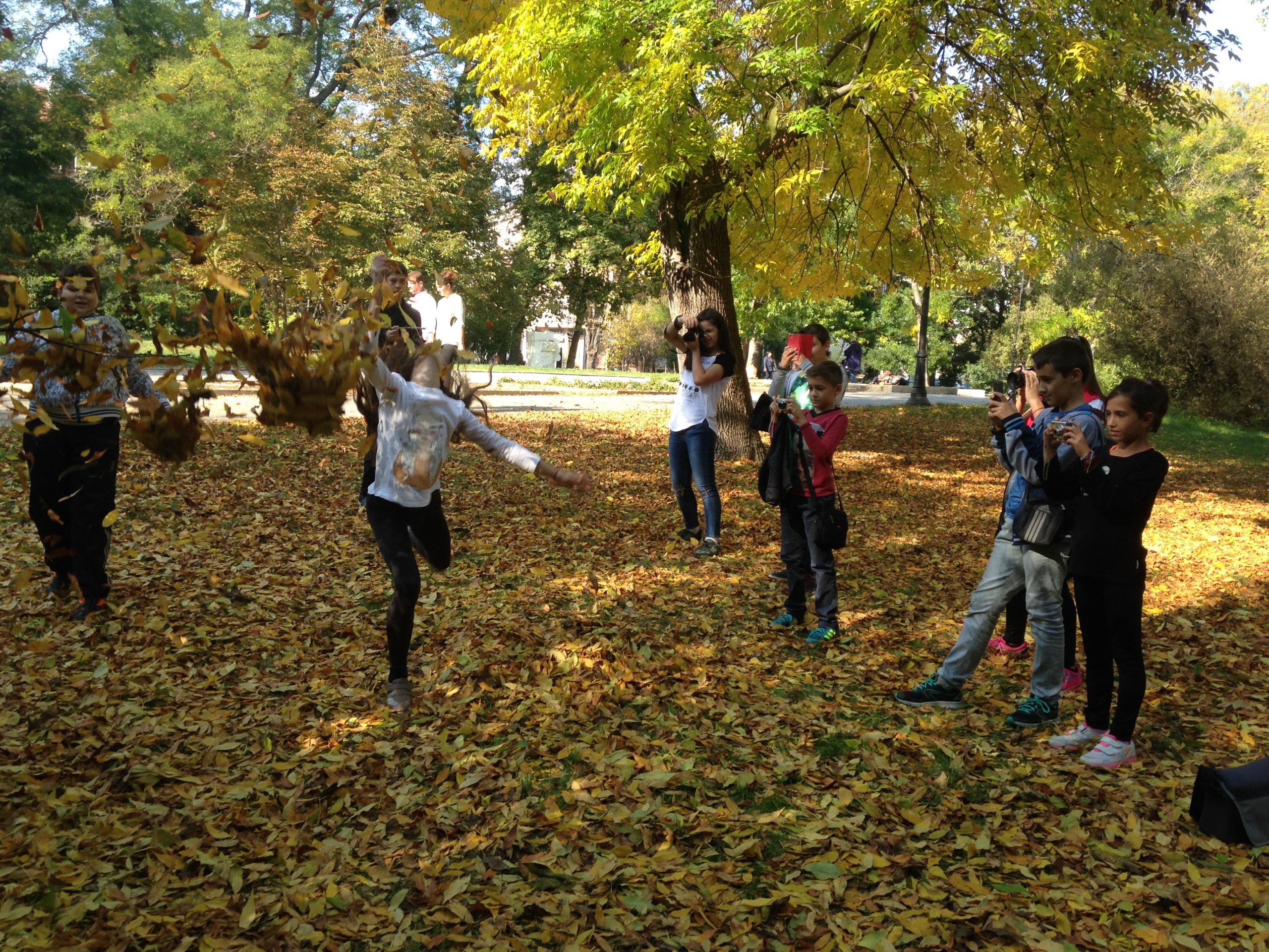 Kindertentoonstellingen en activiteiten