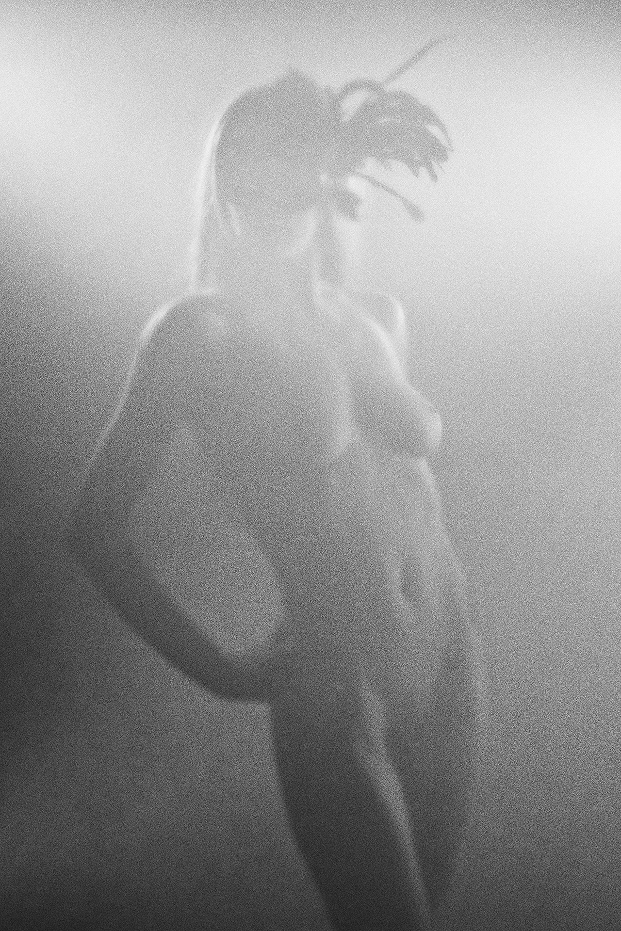 Project Stille ruimtes