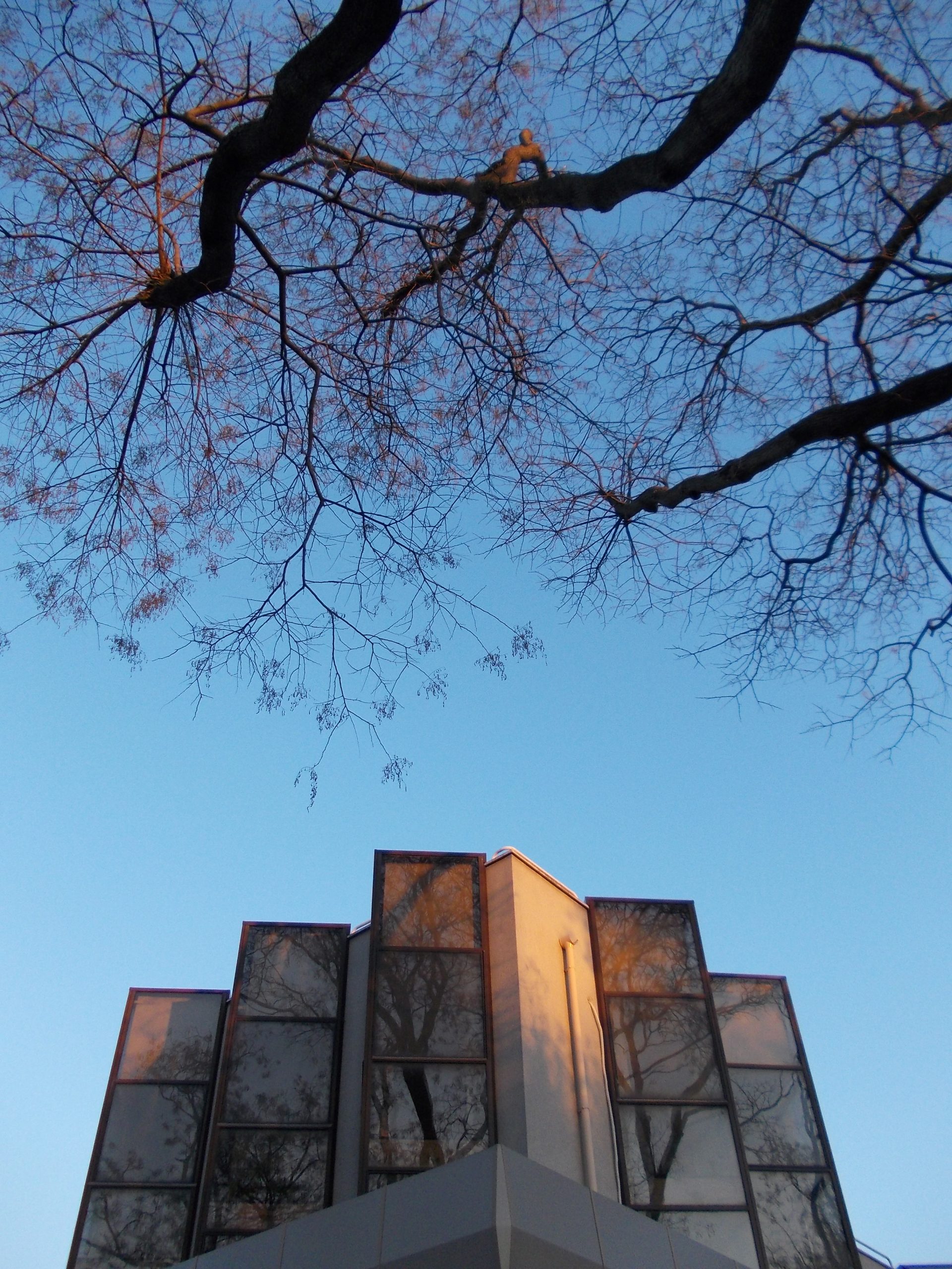 Geometrie