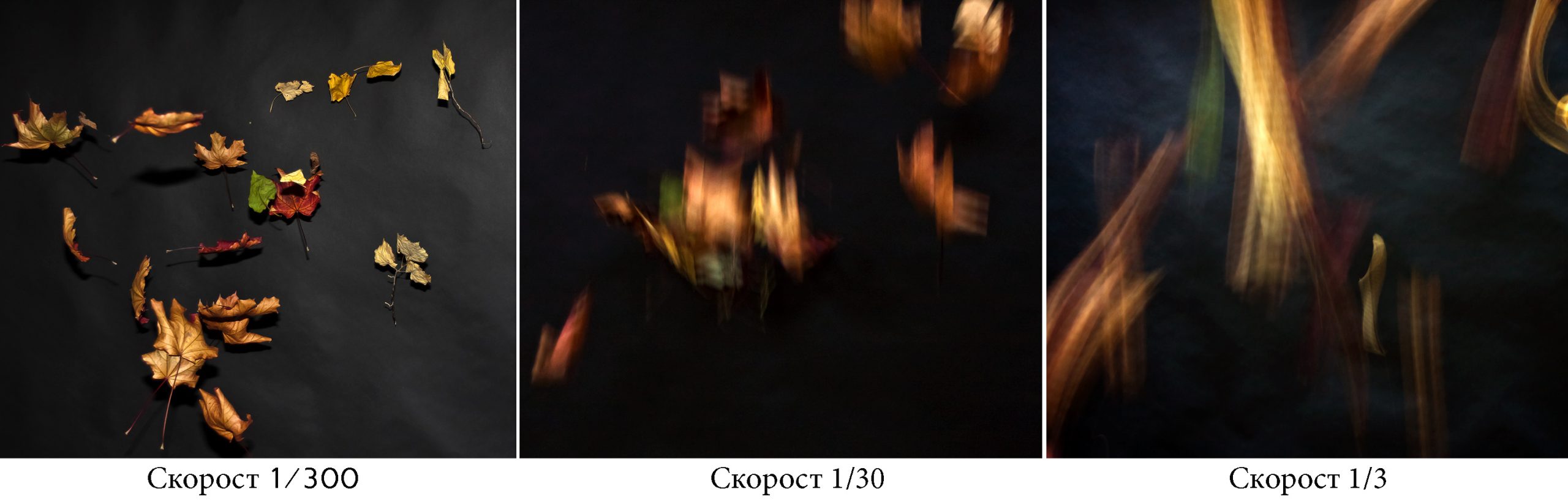 Speed